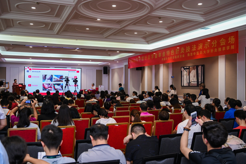 8、特色针灸技法演示分会场0067.jpg