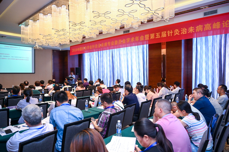 6、针灸治未病专业委员会学术年会暨第五届针灸治未病高峰论坛0681.jpg