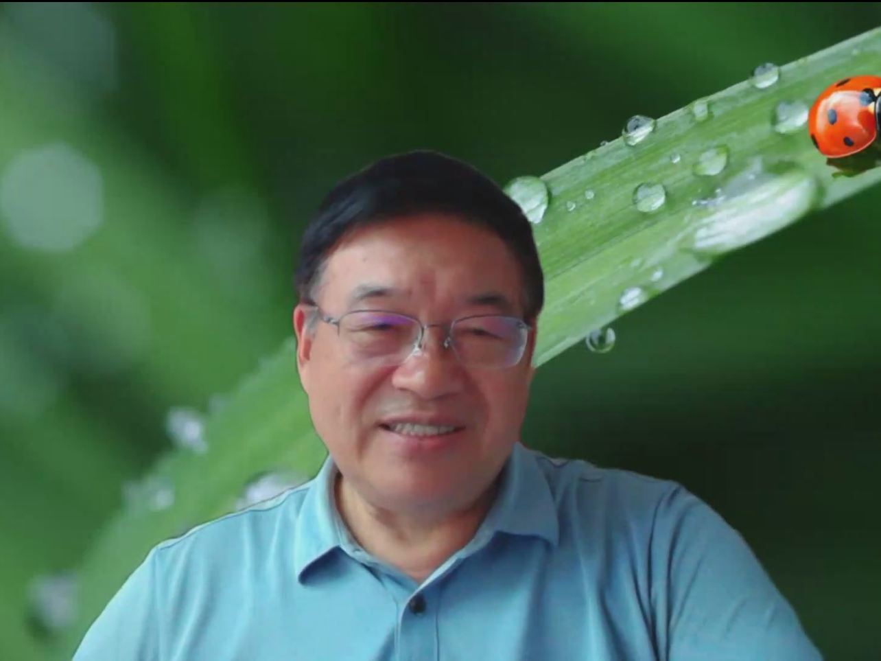 《针灸技术操作规范 第6部分 穴位注射》等13项针灸国标复审会议召开