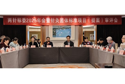 “两针标委”2025年会聚焦：以标准为基石与加速器，推动针灸现代化的快速发展